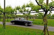 Le Jaguar nella zona del Prosecco e Cartize (79/152)